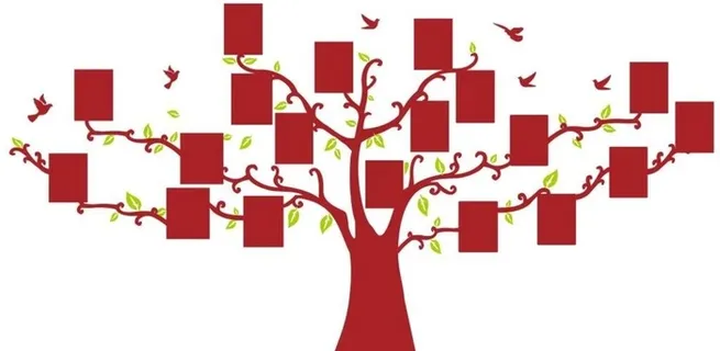 矢量照片树图片