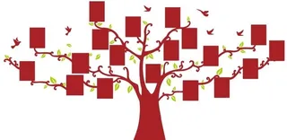 矢量照片树图片