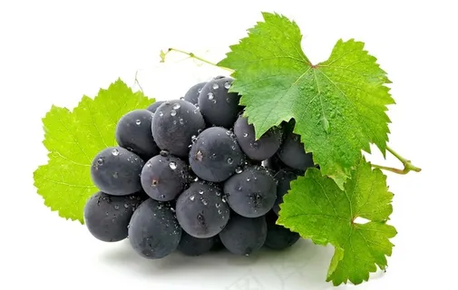 葡萄图片