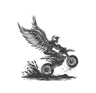 摩托车翅膀图片