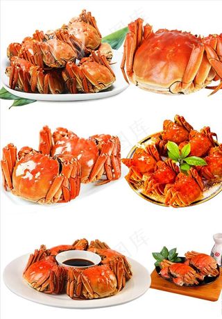 大闸蟹螃蟹河蟹素材抠图透明图片