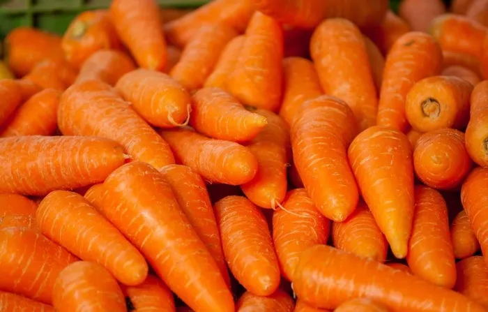 红萝卜堆图片