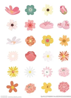 花朵图片 花朵图片