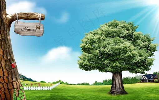 绿色大树图片