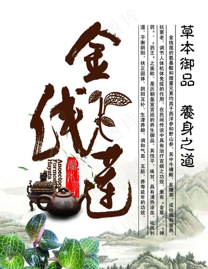 金线莲宣传广告图片psd模版下载