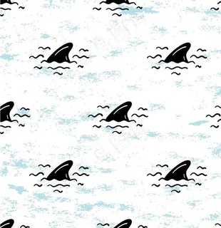 鲨鱼 海洋 海底世界 各种鱼图片