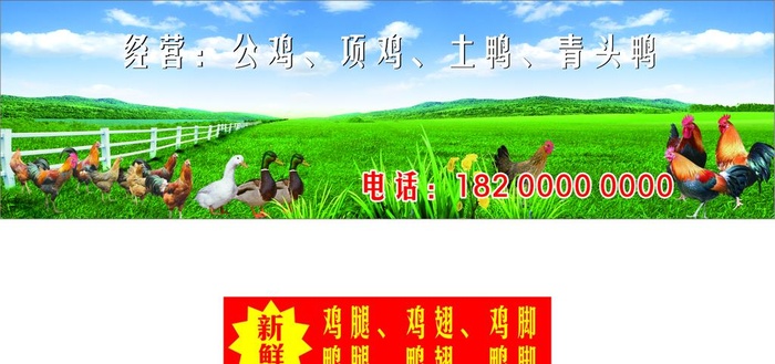 农家自养鸡鸭鹅图片cdr矢量模版下载