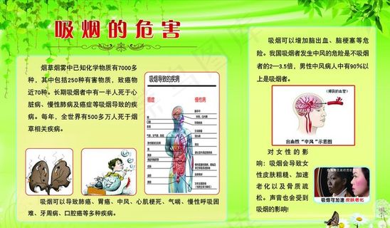 吸烟的危害图片