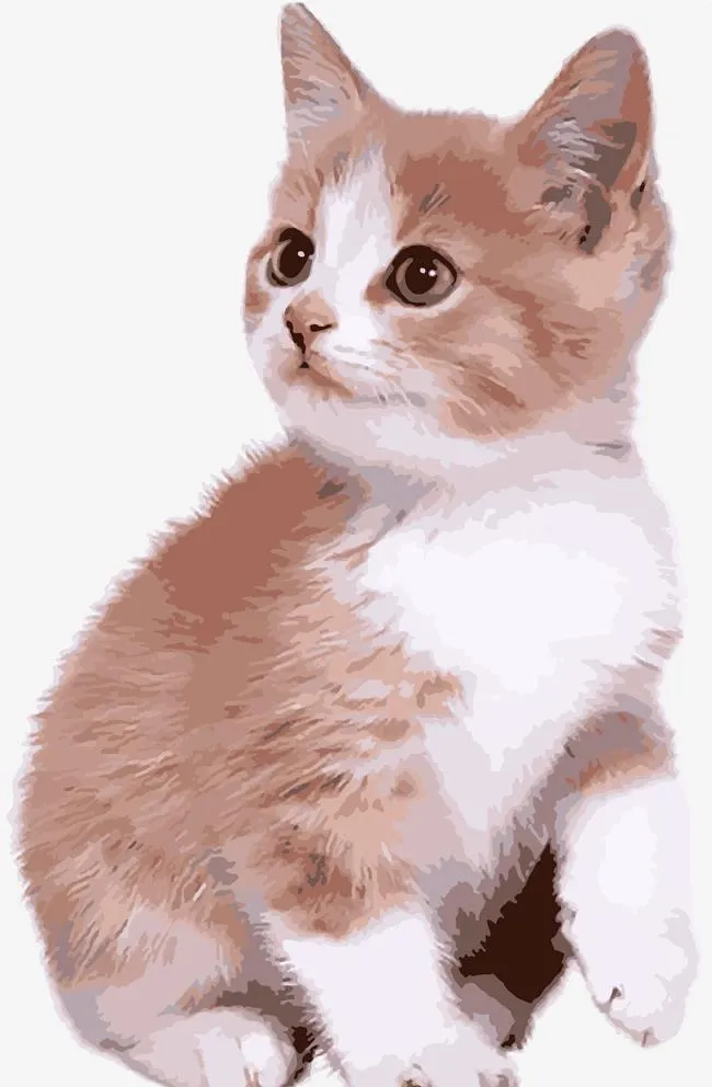 可爱猫图片ai矢量模版下载