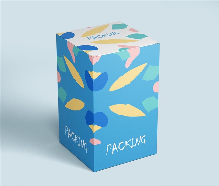 盒子样机图片