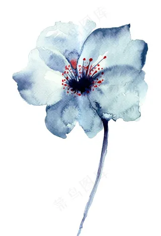 花朵花蕊水彩简约背景海报素材图片