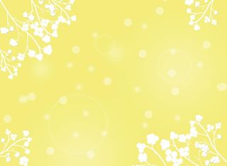 黄色背景图片