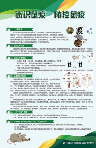 鼠疫展板设计图片