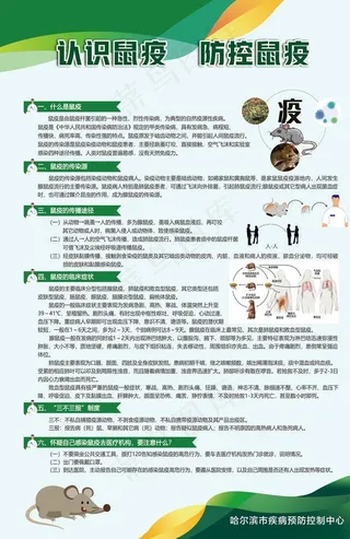 鼠疫展板设计图片