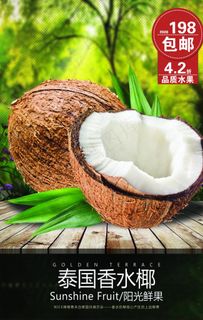 泰国香水椰子海报图片
