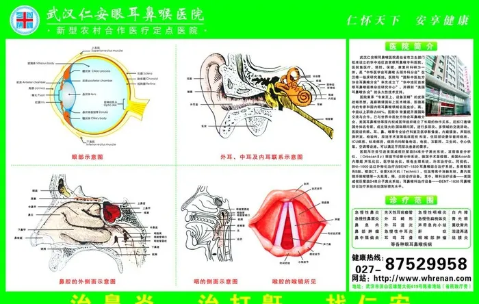 仁安图片cdr矢量模版下载