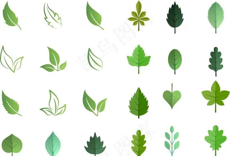 绿叶 叶子 树叶图片