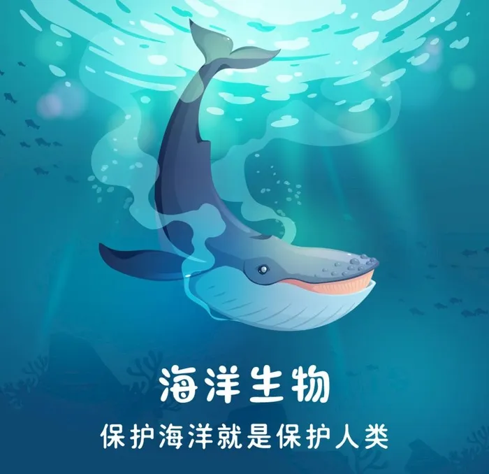 海洋生物图片ai矢量模版下载