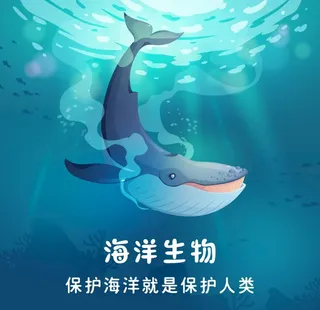 海洋生物图片