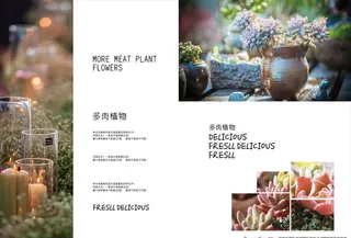 整套浅绿色小清新多肉画册图片