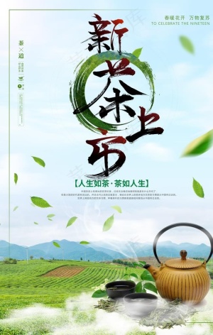 新茶上市图片