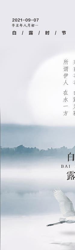 白露图片cdr矢量模版下载