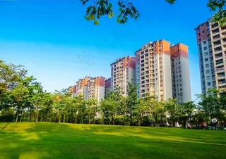 新会碧桂园图片