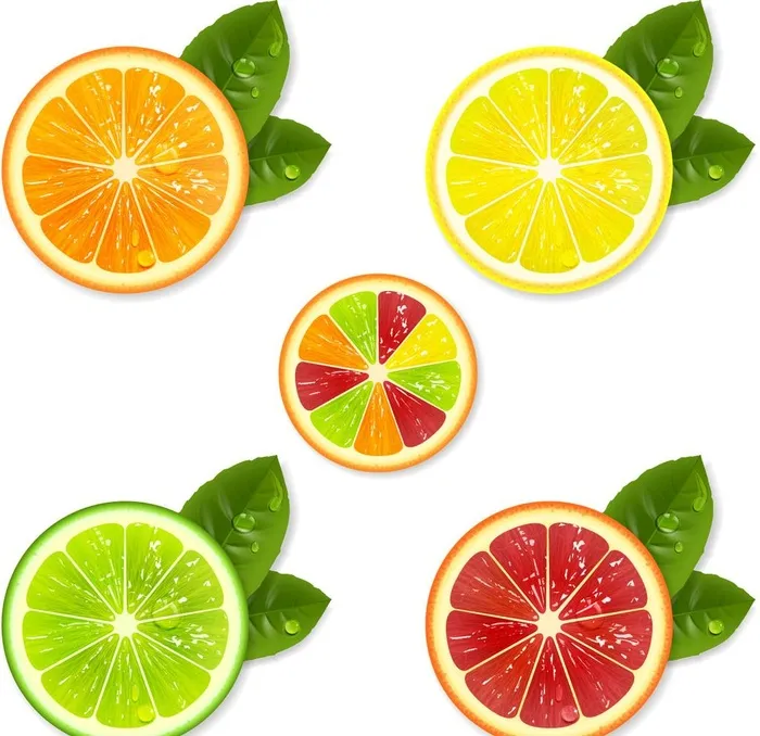 橙子图片ai矢量模版下载