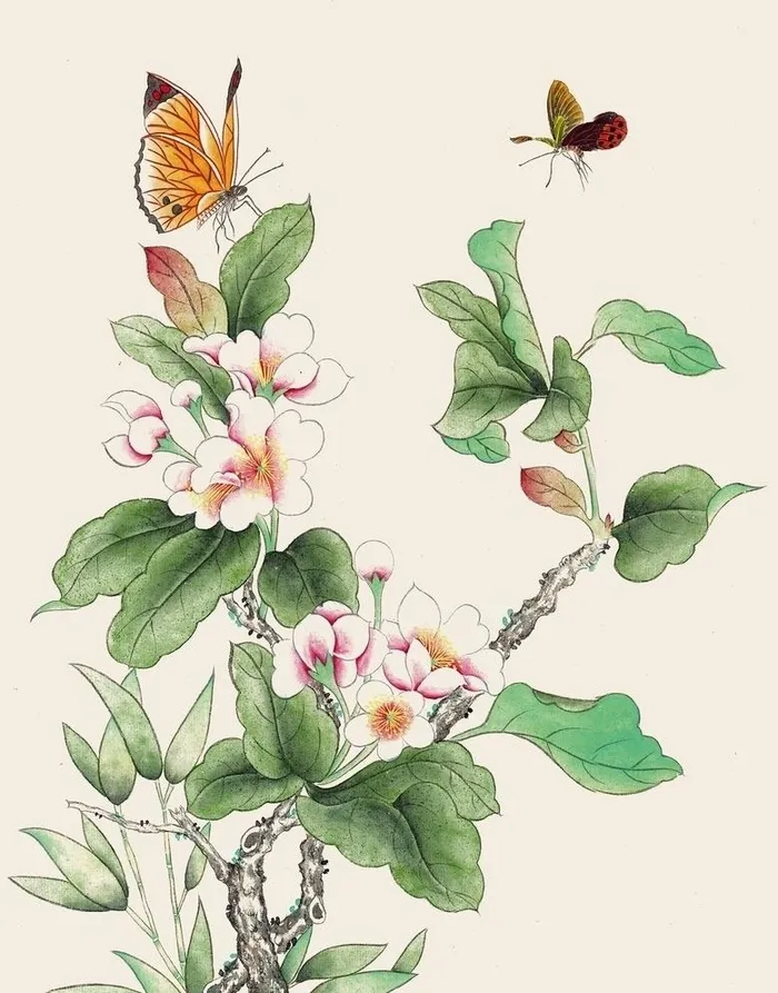 手绘蝶恋花插画图片