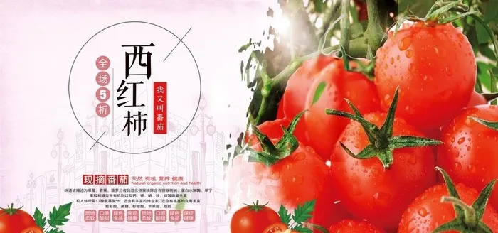 西红柿 图片