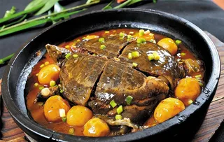 焖甲鱼高清图图片