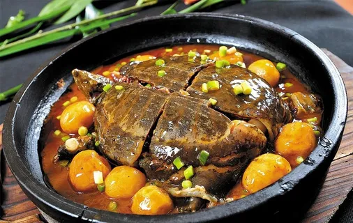 焖甲鱼高清图图片 焖甲鱼高清图图片