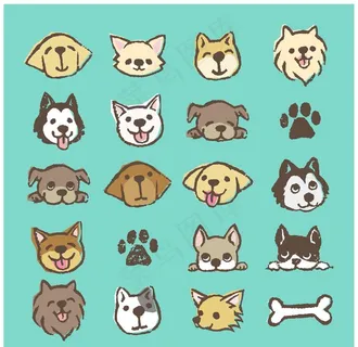 狗狗图片 狗狗图片