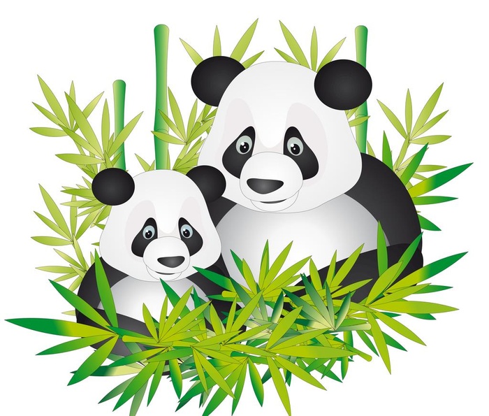 熊猫图片ai矢量模版下载