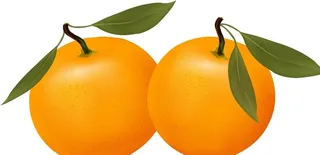 砂糖橘图片