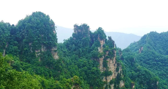 青山秀美图片