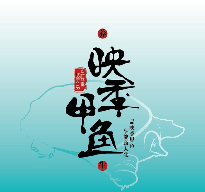 甲鱼图片ai矢量模版下载