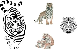 老虎图片