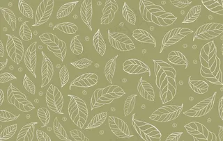 茶叶矢量图图片