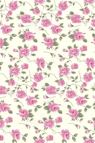 手绘玫瑰花图片