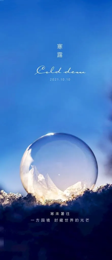 寒露海报 图片