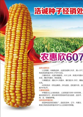 种业宣传单图片