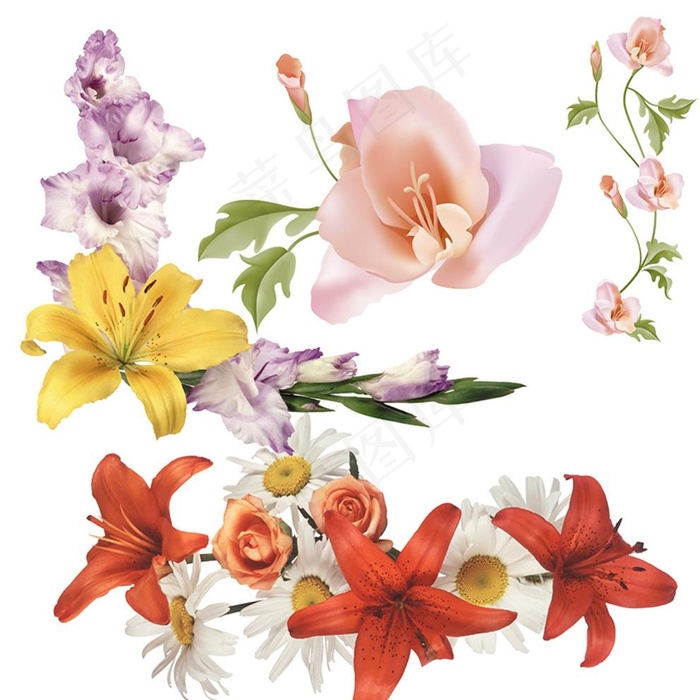百合花素材图片psd模版下载