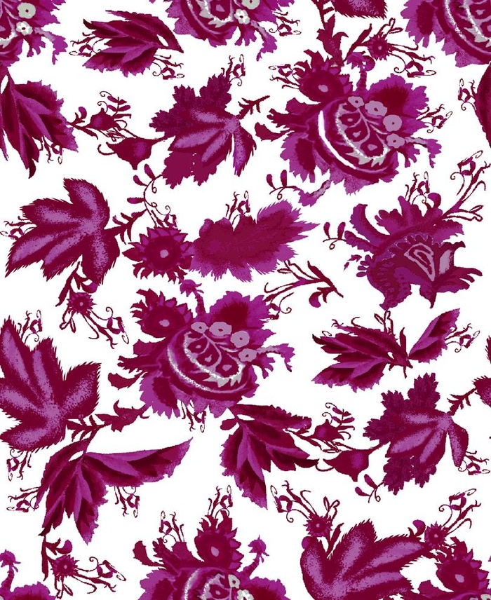 腰果花图片(2362x2984)
