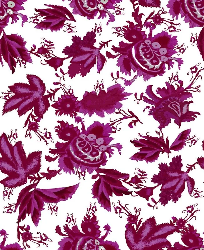 腰果花图片(2362x2984)