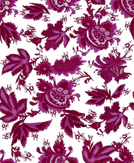 腰果花图片 腰果花图片