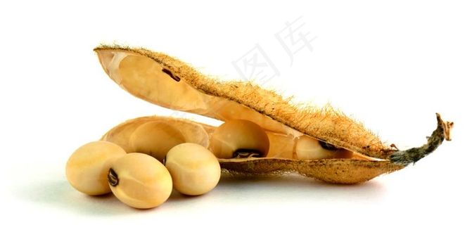大豆图图片