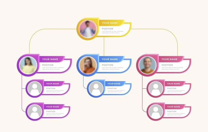 组织架构人员管理制度图片