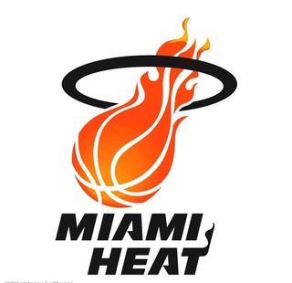 迈阿密热火队标志图片