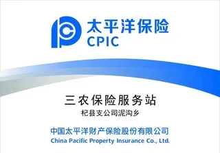 太平洋保险图片